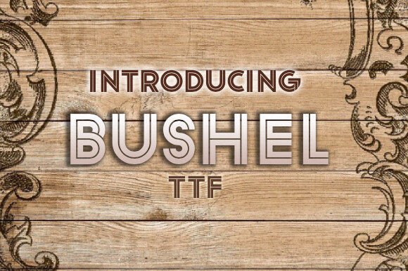 Brushing Up Your Web Design with Bushel